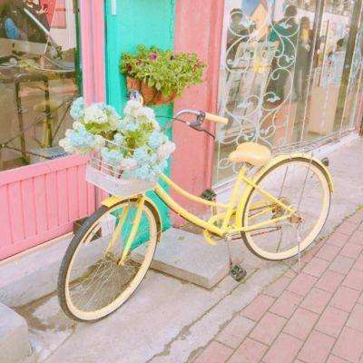 一纸违宪强收港口，巴拿马撕毁30年契约，长和祭出“核弹级”反击